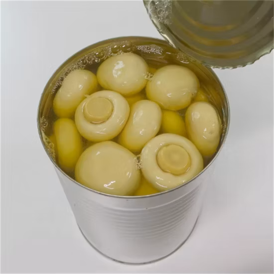 Canned Champignon Mushroom, Button Mushroom Whole in Drum Supplier