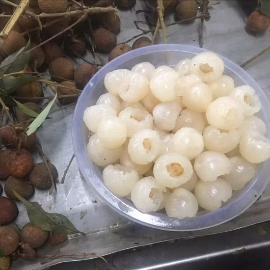 567 g gesunde frische Früchte aus der Dose Litschi in Sirup