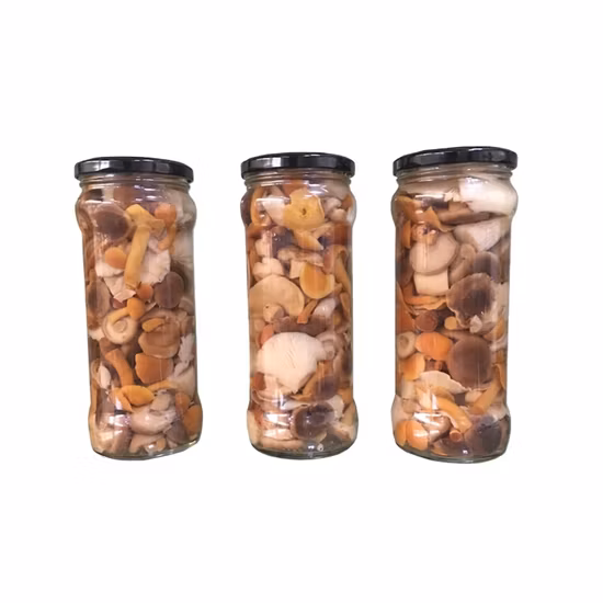 Marinierte gemischte Pilze der neuen Saison in Dosen